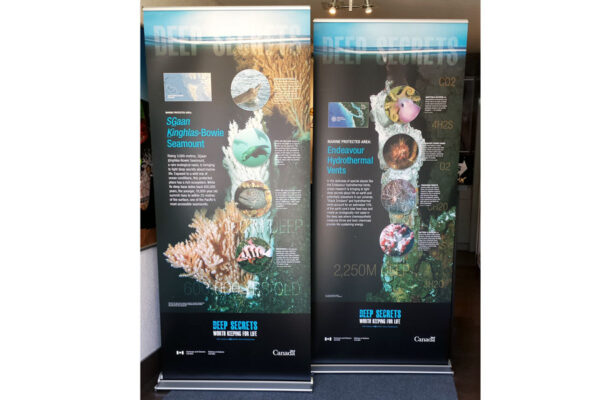 33.5"x 79" premium retractable banner